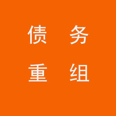天峨个人债务重组优化